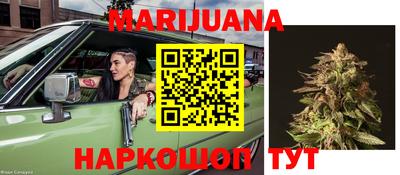PSILOCYBIN Гагарин