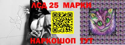 ПСИЛОЦИБИНОВЫЕ ГРИБЫ Гатчина