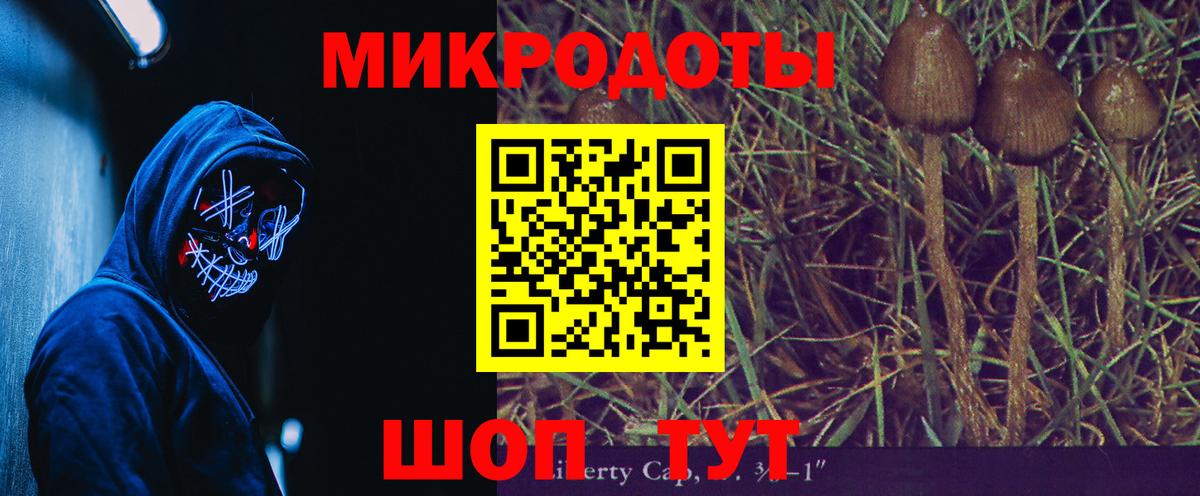 Псилоцибиновые грибы мицелий Новокубанск
